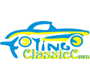 Club Fotingo Classic Cars