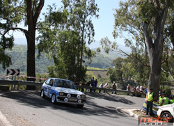 Toyota Starlet Manzano/Gallo